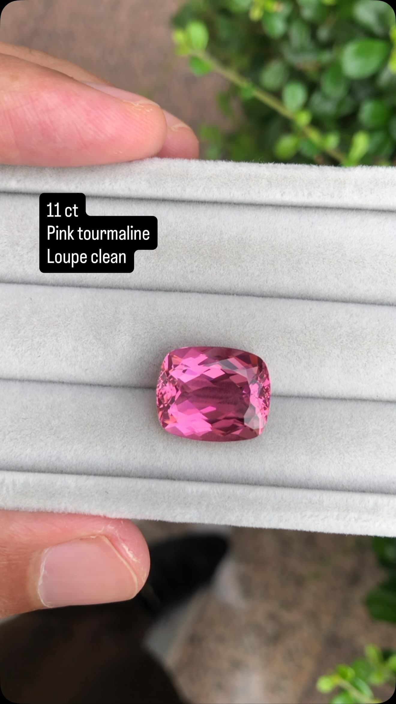 Pink tourmaline 11.00 ct