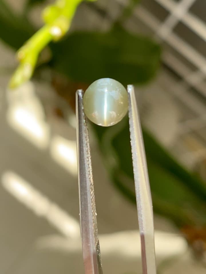 Cat's Eye 0.00 ct